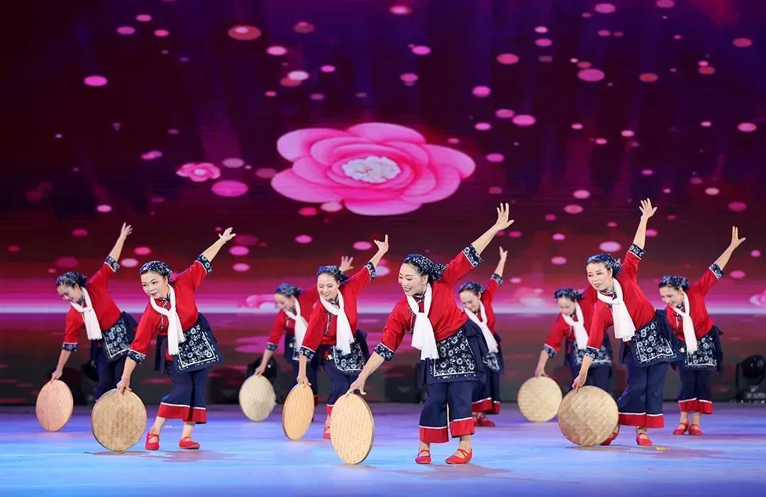 博乐娱乐